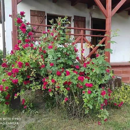 Tatil Evi Wypoczynkowy Caloroczny U Agi Z Balia Z Jacuzzi I Sauna *