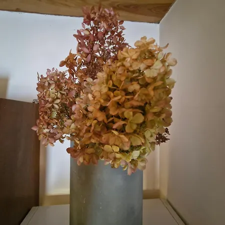 Tatil Evi Wypoczynkowy Caloroczny U Agi Z Balia Z Jacuzzi I Sauna *