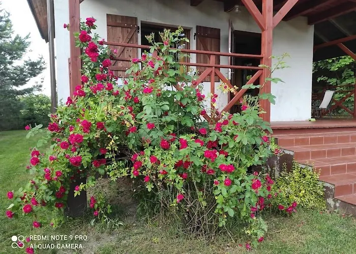 Dom wakacyjny Wypoczynkowy Całoroczny U Agi Z Balią Z Jacuzzi I Sauną *