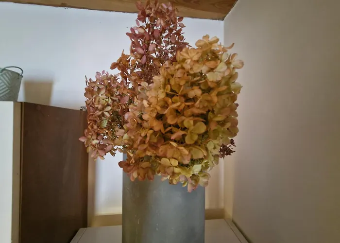 Tatil Evi Wypoczynkowy Caloroczny U Agi Z Balia Z Jacuzzi I Sauna *