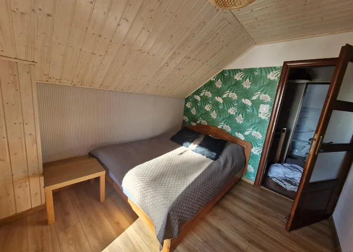 Wypoczynkowy Caloroczny U Agi Z Balia Z Jacuzzi I Sauna Przezmark